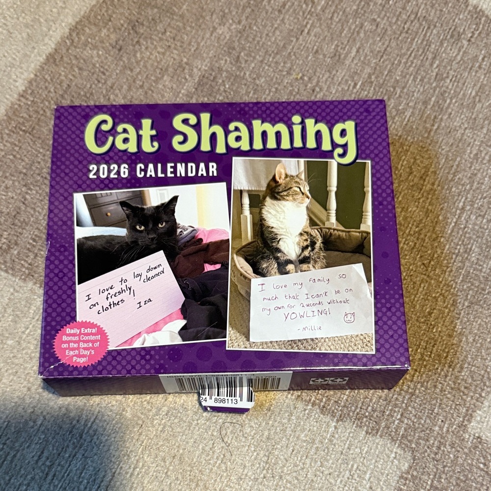 Cat Shaming 2026 Year Calendar